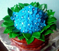 /album/fotogalerie/a10363389-752299641487403-5205122354724327793-n-jpg1/