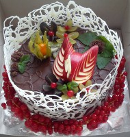 /album/fotogalerie/dsc-0153-jpg/